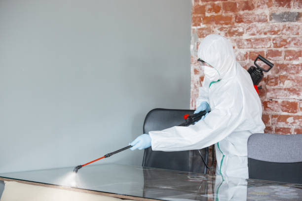 Professional Mold Removal Services in Auburndale, FL